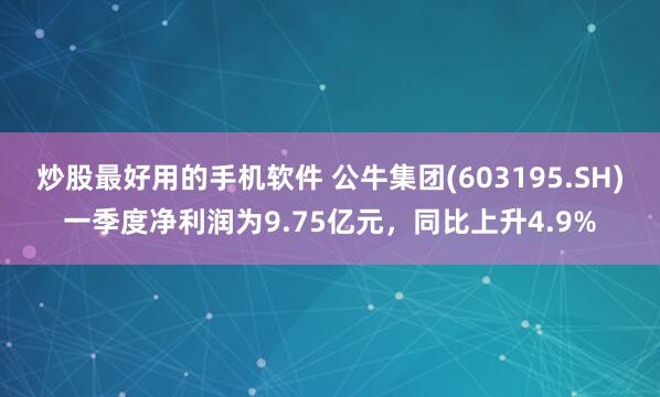炒股最好用的手机软件 公牛集团(603195.SH)一季度净利润为9.75亿元，同比上升4.9%