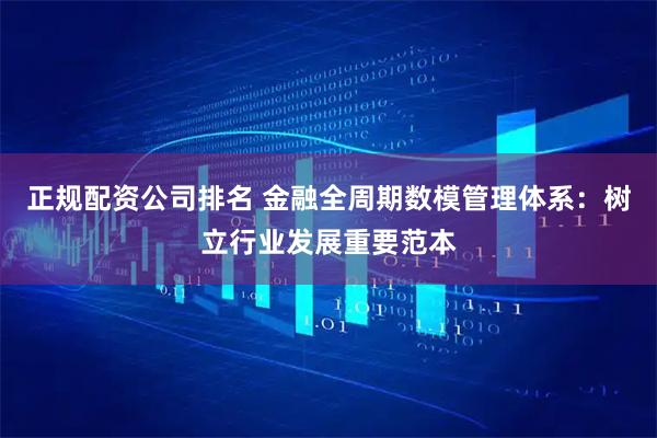正规配资公司排名 金融全周期数模管理体系：树立行业发展重要范本
